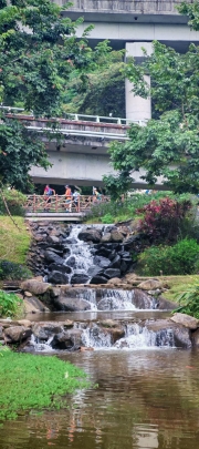 Thumbnail of pic_Cindy_Tse_008.jpg