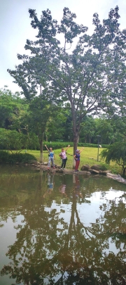 Thumbnail of pic_Cindy_Tse_014.jpg