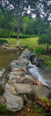 Thumbnail of pic_Cindy_Tse_017.jpg