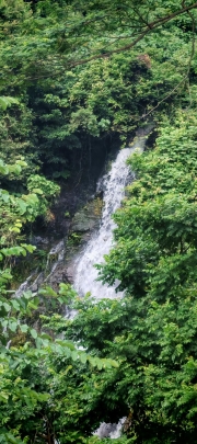 Thumbnail of pic_Cindy_Tse_019.jpg