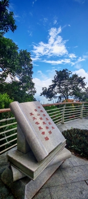 Thumbnail of pic_Cindy_Tse_029.jpg