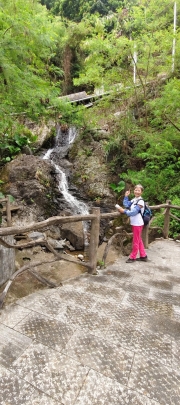 Thumbnail of pic_Derek_Wong_005.jpg