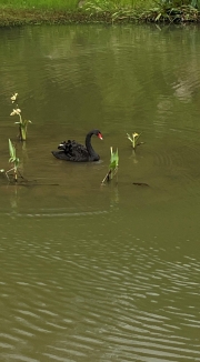 Thumbnail of pic_Dicky_Poon_025.JPG