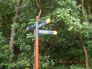 Thumbnail of pic_James_Wong_015.JPG