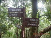 Thumbnail of pic_James_Wong_053.JPG