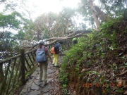 Thumbnail of pic_James_Wong_054.JPG