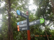 Thumbnail of pic_James_Wong_058.JPG