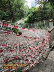 Thumbnail of pic_James_Wong_060.jpg