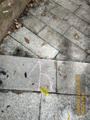 Thumbnail of pic_James_Wong_061.jpg