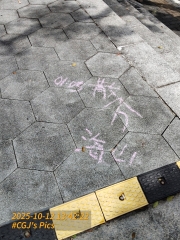 Thumbnail of pic_James_Wong_062.jpg