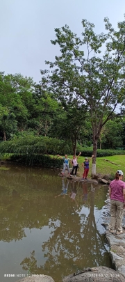 Thumbnail of pic_Mingle_Tam_017.jpg