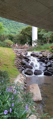 Thumbnail of pic_Mingle_Tam_025.jpg