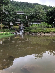 Thumbnail of pic_Yvonne_Yiu_001.jpg