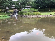 Thumbnail of pic_Yvonne_Yiu_002.jpg