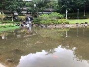 Thumbnail of pic_Yvonne_Yiu_003.jpg