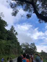 Thumbnail of pic_Yvonne_Yiu_007.jpg