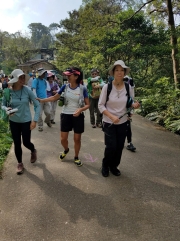 Thumbnail of PA190001.jpg