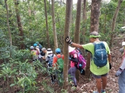 Thumbnail of PA190005.jpg