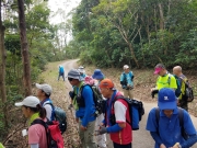 Thumbnail of PA190006.jpg