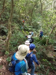 Thumbnail of PA190007.jpg