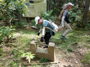 Thumbnail of PA190016.jpg