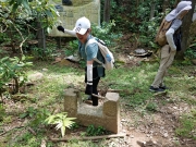 Thumbnail of PA190017.jpg