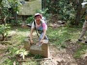 Thumbnail of PA190019.jpg