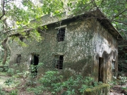 Thumbnail of PA190021.jpg