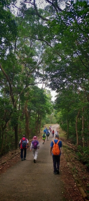 Thumbnail of pic_Cindy_Tse_002.jpg