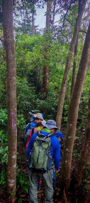 Thumbnail of pic_Cindy_Tse_003.jpg