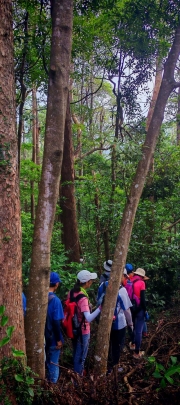 Thumbnail of pic_Cindy_Tse_004.jpg