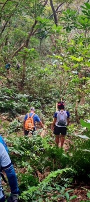 Thumbnail of pic_Cindy_Tse_011.jpg