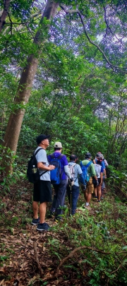 Thumbnail of pic_Cindy_Tse_013.jpg