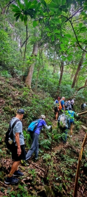 Thumbnail of pic_Cindy_Tse_014.jpg