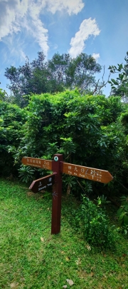 Thumbnail of pic_Cindy_Tse_022.jpg