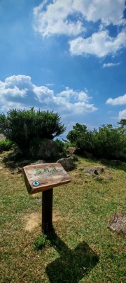 Thumbnail of pic_Cindy_Tse_025.jpg