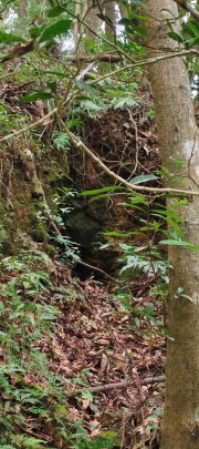 Thumbnail of pic_Derek_Wong_005.jpg