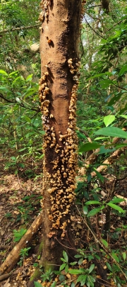 Thumbnail of pic_Derek_Wong_012.jpg