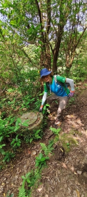 Thumbnail of pic_Derek_Wong_020.jpg