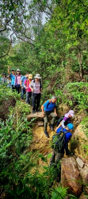 Thumbnail of pic_Cindy_Tse_003.jpg