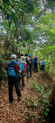 Thumbnail of pic_Cindy_Tse_016.jpg