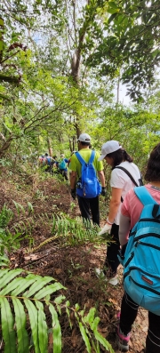 Thumbnail of pic_Si9_003.jpg