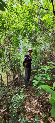 Thumbnail of pic_Si9_008.jpg