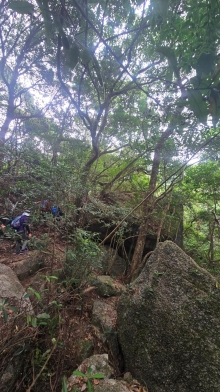 Thumbnail of pic_KW_Li_006.jpg