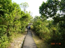 Thumbnail of pic_LK_Cheung_021.JPG