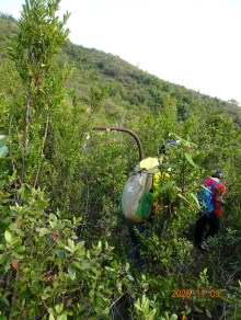 Thumbnail of pic_LK_Cheung_035.JPG