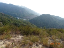 Thumbnail of pic_LK_Cheung_038.JPG