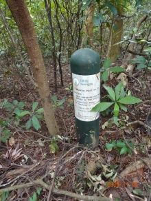 Thumbnail of pic_LK_Cheung_064.JPG