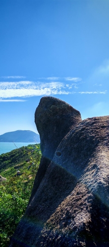 Thumbnail of pic_Cindy_Tse_013.jpg