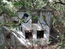 Thumbnail of PB230030.jpg